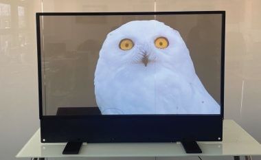 customized Ultra Thin OLED Transparent Display For indoor Advertising