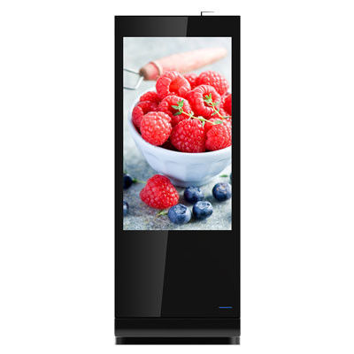 55 Inch Free Standing Digital Screen  With 8GB 16GB Storage